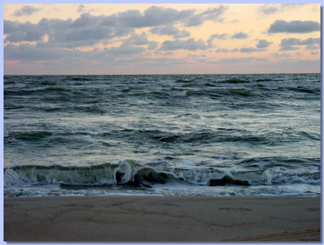 DSC02013.jpg