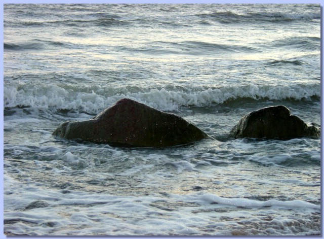 DSC02014.jpg