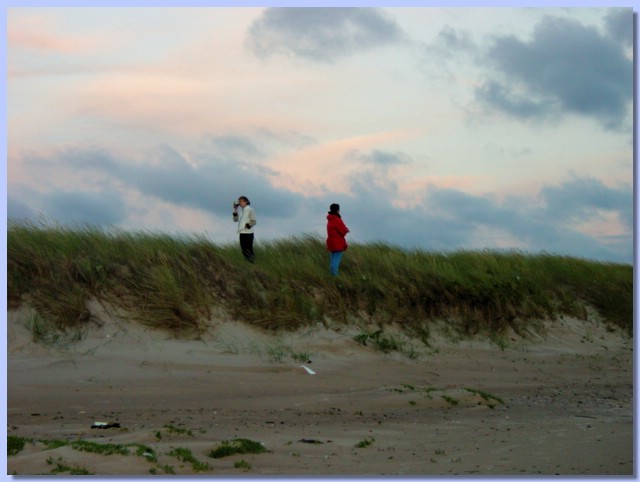 DSC02016.jpg