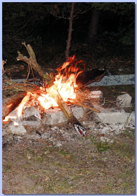 DSC02050.jpg