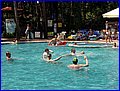 DSC02558.JPG