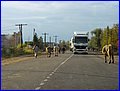 DSC03238.JPG
