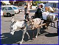 051.JPG