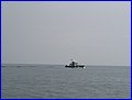 IMG_8623.jpg