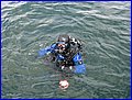 IMG_8647.jpg