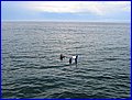 IMG_8648.jpg