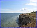 IMG_8971.jpg