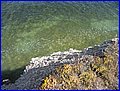 IMG_8972.jpg