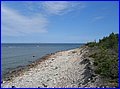 IMG_8974.jpg