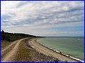 IMG_8976.jpg