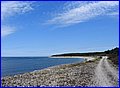 IMG_8979.jpg
