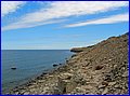 IMG_8984.jpg