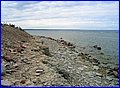 IMG_8985.jpg