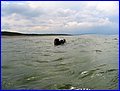 IMG_9073.jpg