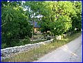 IMG_9211.jpg