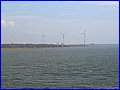IMG_9390.jpg
