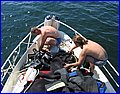 IMG_9524.jpg