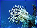 IMG_0713.jpg