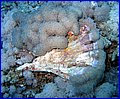 IMG_0735.jpg