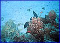 IMG_0841.jpg