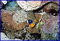 IMG_1044.jpg