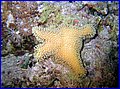 IMG_1341.jpg