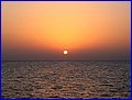 IMG_1849.jpg