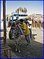 062.jpg