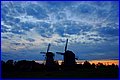 IMG_0375.JPG