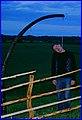 IMG_0384.JPG