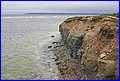 IMG_0441.JPG