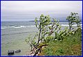 IMG_0456.JPG