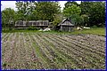 IMG_0466.JPG
