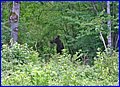 IMG_0747.JPG