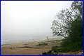 IMG_0766.JPG