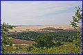 IMG_1504.JPG