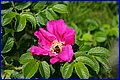 IMG_1582.JPG