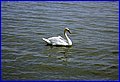 IMG_1615.JPG