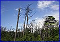 IMG_1957.JPG