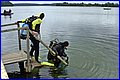 IMG_2208.JPG