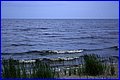 IMG_2284.JPG