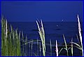 IMG_2298.JPG