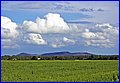 IMG_2564.JPG