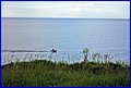 IMG_2728.JPG