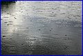 IMG_2733.JPG