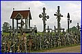 IMG_2769.JPG