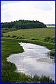 IMG_2808.JPG