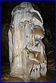 029 IMG_6536.jpg