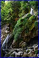 036 IMG_6620.jpg