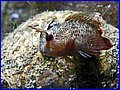 049 IMG_6957.jpg